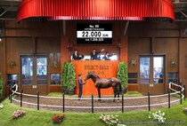 【セレクトセール2026】コントレイル産駒の良血に2億2000万円…母は京成杯AHレコードV馬