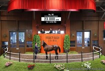 【セレクトセール2026】阪神JF2着馬のイクイノックス産駒に2億3000万円…ダノックスが落札