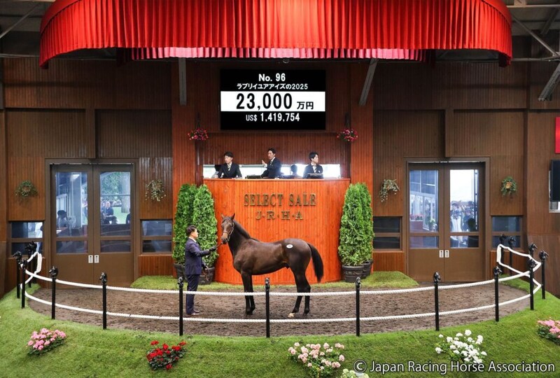 【セレクトセール2026】阪神JF2着馬のイクイノックス産駒に2億3000万円…ダノックスが落札