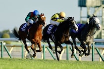 カランダガンvsマスカレードボール、JC以来の再戦…キングジョージの馬券発売