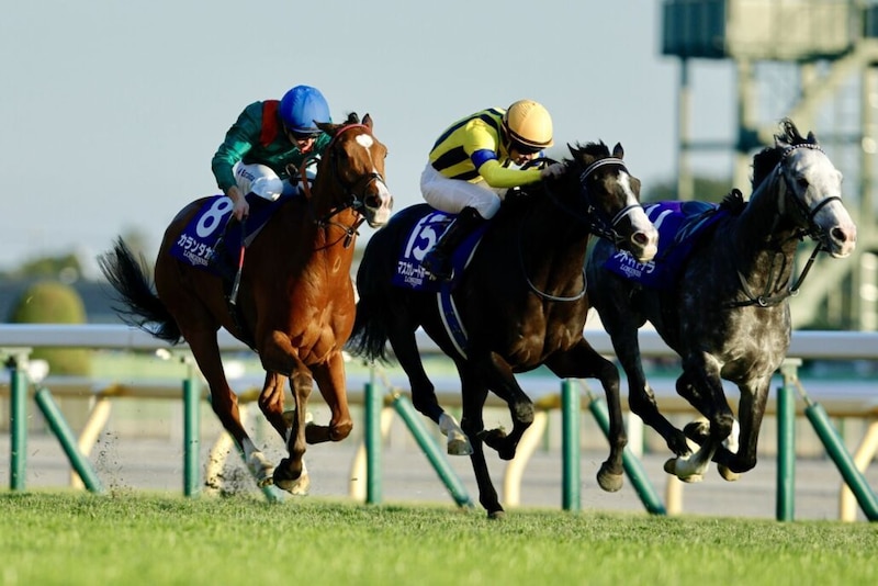 カランダガンvsマスカレードボール、JC以来の再戦…キングジョージの馬券発売