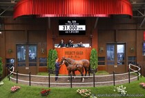 【セレクトセール2026】豪G1馬のイクイノックス産駒が3億1000万円…ダノックスが高額落札