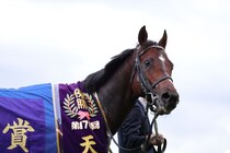 【セレクトセール2026】ドウデュース初年度産駒をインゼルが落札…母は仏G2馬で5400万円