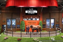 【セレクトセール2026】藤田晋氏がイクイノックス産駒を2億5000万円で落札…半兄は米G1馬
