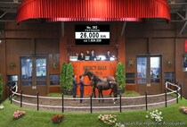 【セレクトセール2026】仏重賞馬の初仔に2億6000万円…国本哲秀氏がサートゥルナーリア産駒を落札