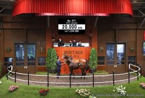 【セレクトセール2026】母は仏短距離重賞馬…キズナ産駒をベラジオレーシングが2億円で落札