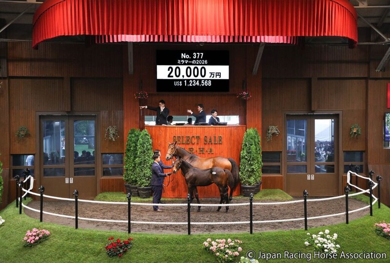 【セレクトセール2026】母は仏短距離重賞馬…キズナ産駒をベラジオレーシングが2億円で落札
