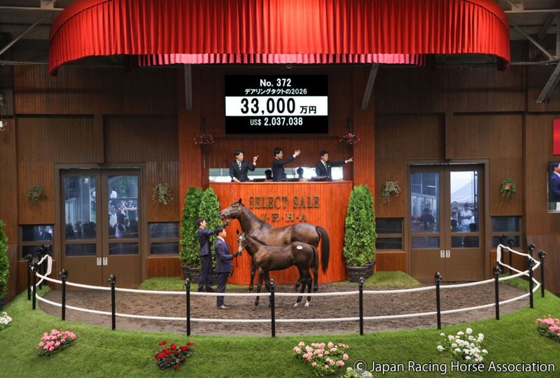 【セレクトセール2026】イクイノックス×三冠牝馬デアリングタクトが3億3000万円…ANIMAレーシングが落札