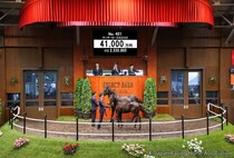 【セレクトセール2026】リバティアイランドの半弟が4億1000万円…エムズレーシングが超良血馬を落札