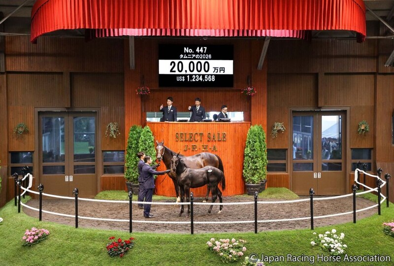 【セレクトセール2026】キタサンブラック×仏重賞馬に2億円…里見治氏が良血牡馬を落札