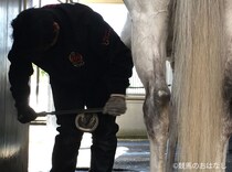【装蹄師・西内荘コラム】ウエストナウ、充実の気配で小倉記念へ