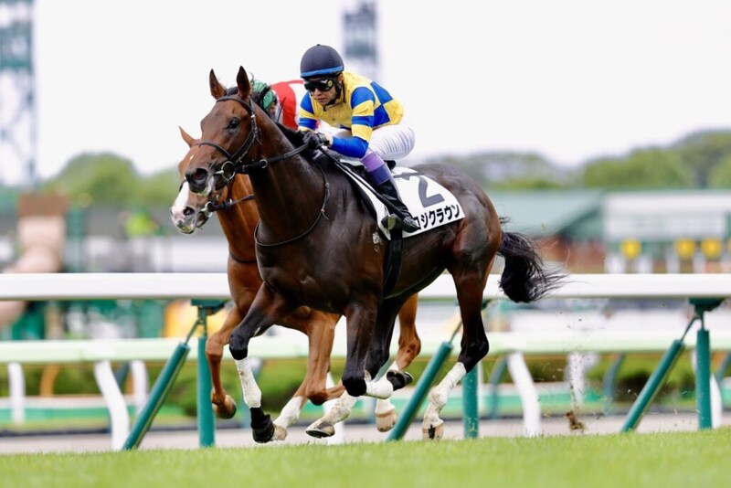 【函館1R】武豊騎手が5001勝目!…単勝1.2倍ロジクラウンで快勝