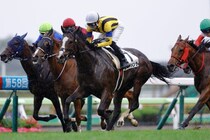 【函館12R】丹内祐次騎手が土曜3勝…ラミアメンテVで函館リーディング獲得へ前進