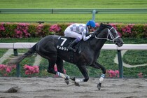 【マーキュリーカップ】重賞初挑戦ギュルヴィは5枠8番