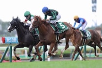 【函館2歳S】伏兵フェリチタが波乱を演出…武豊騎乗のシグレは直線で失速