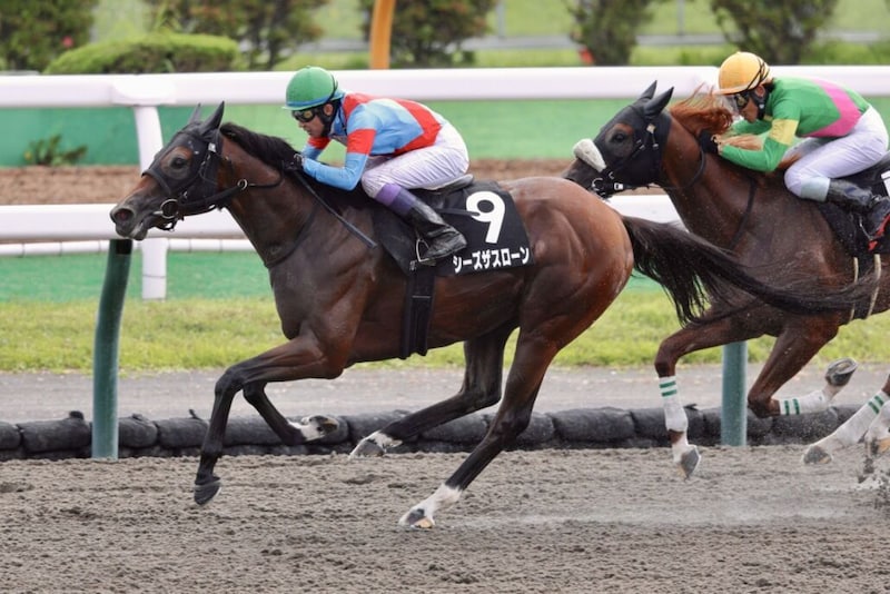 【駒場特別】武豊騎乗シーズザスローンが差し切りV