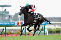 【かもめ島特別】モンローウォークが無傷の3連勝