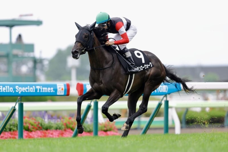 【かもめ島特別】モンローウォークが無傷の3連勝