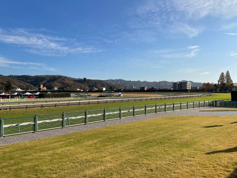 【福島8R】8番人気ピエナフェーヴルが大外一気…兵庫からの復帰初戦をV