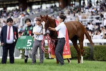 【函館2歳S】横山和「フェリチタの頑張る気持ちに助けられた」…2歳世代最初の重賞ウィナーはフェリチタ