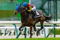 坂井瑠星騎手が16勝で福島リーディング獲得…戸崎圭太騎手との頂上決戦制す