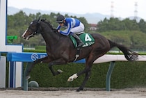 【盛岡・マーキュリーカップ】充実ムルソーが重賞連勝へ…ギュルヴィ、テスティモーネら新勢力も台頭
