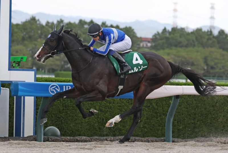 【盛岡・マーキュリーカップ】充実ムルソーが重賞連勝へ…ギュルヴィ、テスティモーネら新勢力も台頭