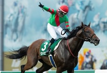 【盛岡・いしがきマイラーズ】モズマーヴェリックが3馬身差完勝…高松「ずっと反応が良かった」