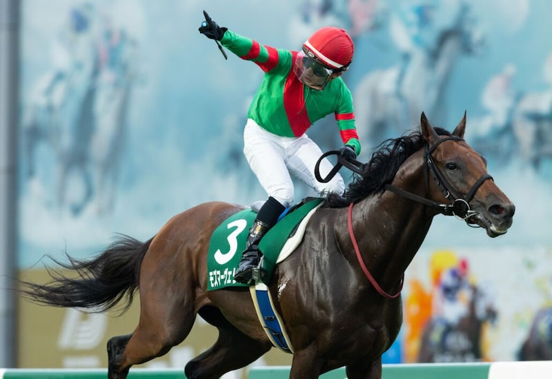 【盛岡・いしがきマイラーズ】モズマーヴェリックが3馬身差完勝…高松「ずっと反応が良かった」