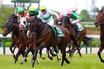 【関屋記念登録馬】エルトンバローズなど14頭