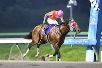 【マーキュリーカップ】サンデーファンデー鮮やか逃げ切りV…1番人気ムルソーは2着