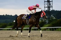 【盛岡・マーキュリーカップ】角田大和「ムルソーより前にという意識で」サンデーファンデー鮮やか逃げ切りV