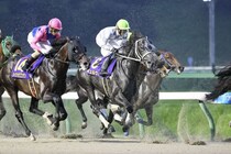 【盛岡・マーキュリーカップ】武豊「オープンでもやれる」重賞初挑戦ギュルヴィは3着