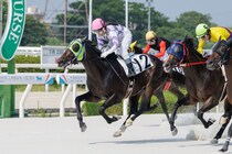 【園田競馬】3連単1239万4160円の超特大馬券！的中はわずか1票、史上最高払戻を更新