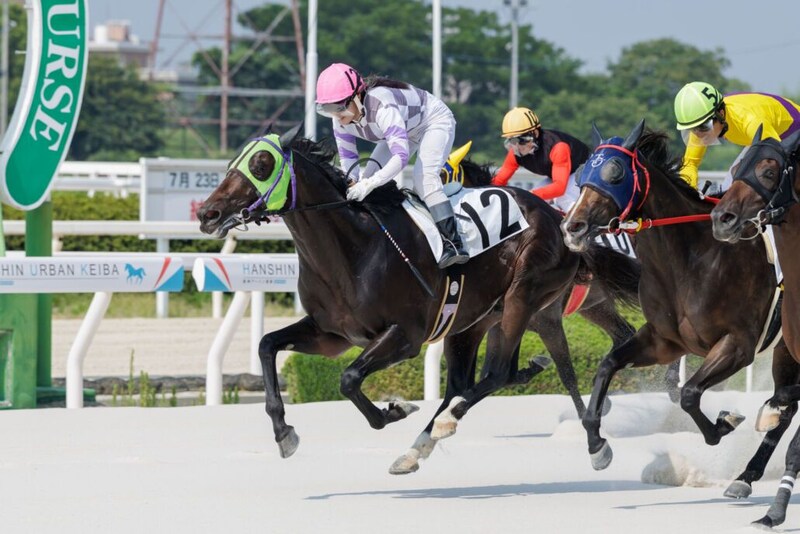 【園田競馬】3連単1239万4160円の超特大馬券!的中はわずか1票、史上最高払戻を更新