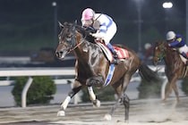 【高知・五台山特別】止まらないコパノハンプトン！高知移籍後4連勝で準重賞を圧勝