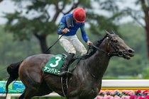 【関屋記念】アンパドゥが最内強襲で重賞初制覇