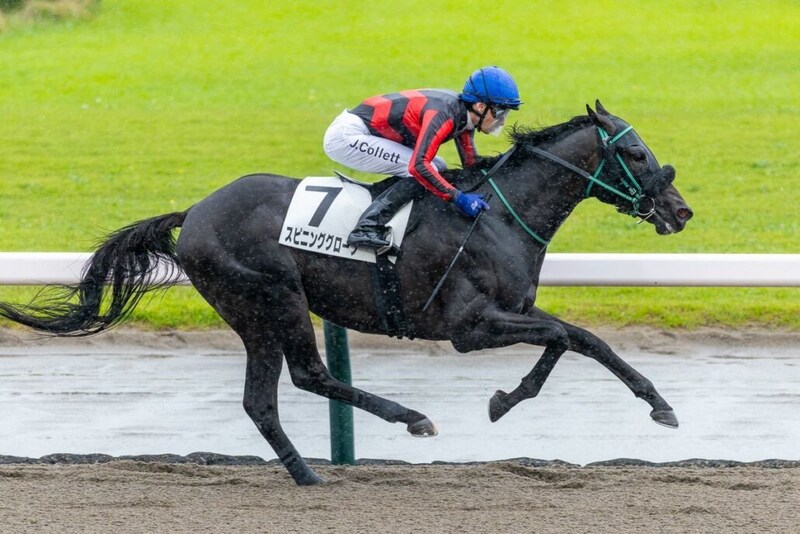 【新潟3R】コレット騎手が2Rに続く連勝…スピニンググローブが5馬身差圧勝