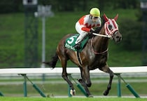 【盛岡・若鮎賞】マカヒキ産駒セイカールトンが4馬身差V…山本聡哉「2歳世代の芝を引っ張っていけそう」
