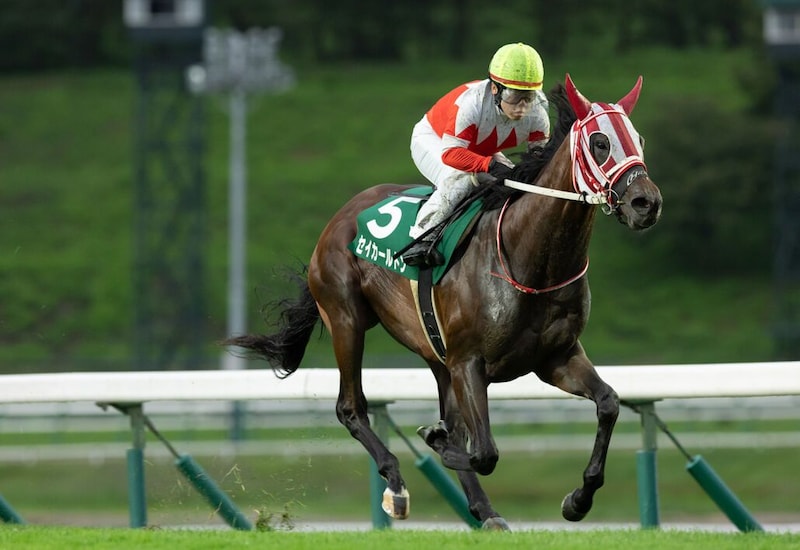 【盛岡・若鮎賞】マカヒキ産駒セイカールトンが4馬身差V…山本聡哉「2歳世代の芝を引っ張っていけそう」