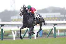 【クイーンS登録馬】巴賞快勝のヴーレヴーなど16頭