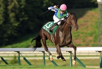 【盛岡・オパールカップ】芝実績ソラーロが重賞初制覇へ…ラミアメロディア、ディオニスら全国の実力馬が激突
