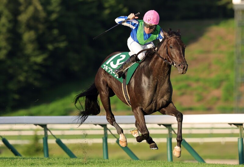 【盛岡・オパールカップ】芝実績ソラーロが重賞初制覇へ…ラミアメロディア、ディオニスら全国の実力馬が激突