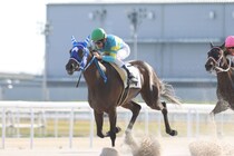 地方競馬最速記録！望月洵輝騎手が通算500勝、初騎乗844日で到達