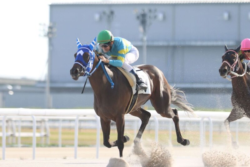 地方競馬最速記録!望月洵輝騎手が通算500勝、初騎乗844日で到達
