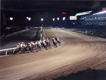 日本初のナイター競馬「トゥインクルレース」が40周年…記念MV公開、限定グッズ販売など記念企画を実施