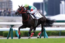 【新馬/札幌5R】シスキン産駒 ブルージェイがデビューV