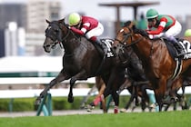 【STV賞】ヨヒーンが外から力強く抜け出しオープン入り…武豊アルマデオロは2着