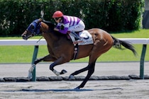 【札幌3R】ワンダーブリッツが9馬身差圧勝…断然人気に応える