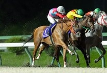 【盛岡・フェアリーカップ】山本政聡「思い切って後ろで競馬をした」好騎乗で重賞制覇へ導く